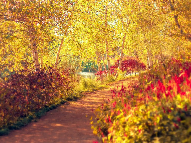 岁暮绝句四首·其四原文注释译文赏析-晁说之诗词-宋诗全集