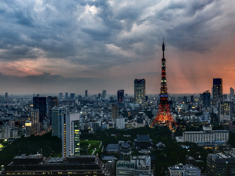 题杨补之梅·其一原文注释译文赏析-曾丰诗词-宋诗全集