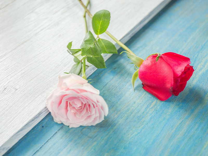 次韵蔡仲平察院中秋·其一原文注释译文赏析-葛立方诗词-宋诗全集