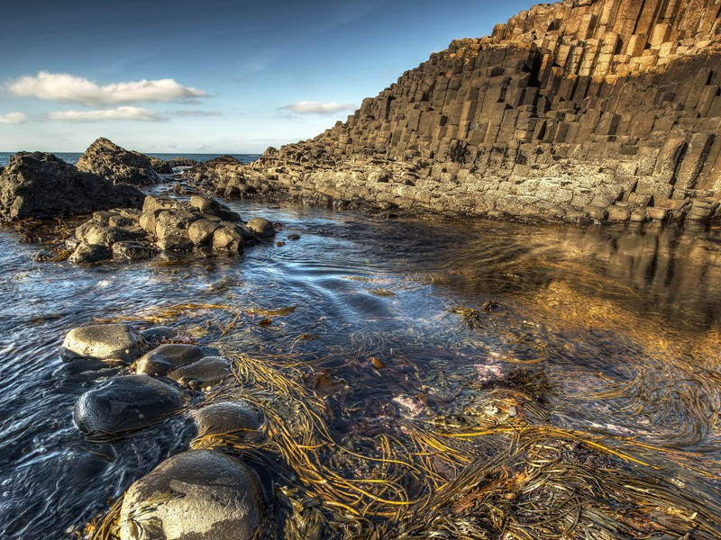 促织·其一原文注释译文赏析-洪咨夔诗词-宋诗全集