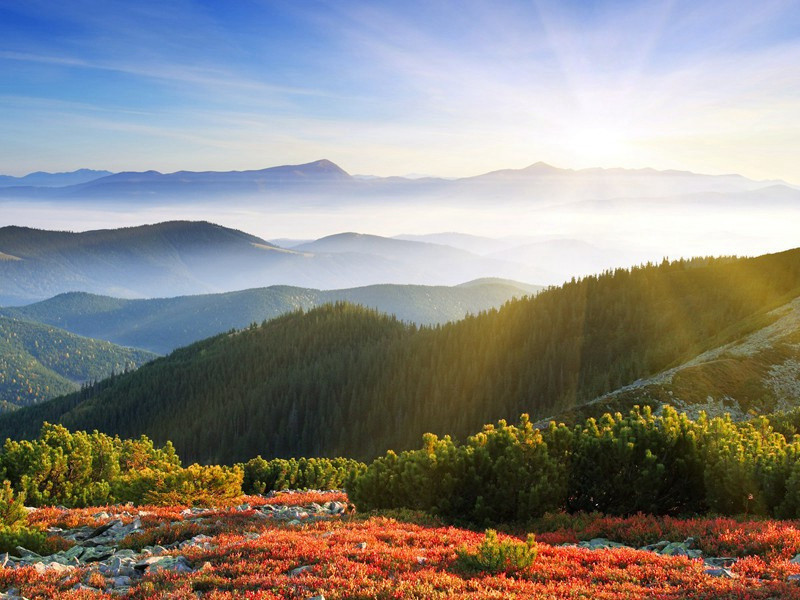 吴帅见和亦复次韵原文注释译文赏析-曾几诗词-宋诗全集