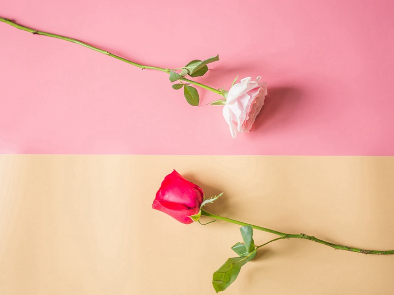 次李弘斋韵送任宰原文注释译文赏析-陈宓诗词-宋诗全集