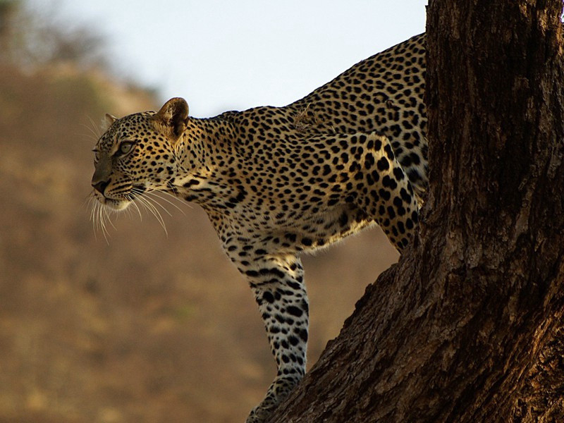 秋晚杂书三十首·其二二原文注释译文赏析-方回诗词-宋诗全集