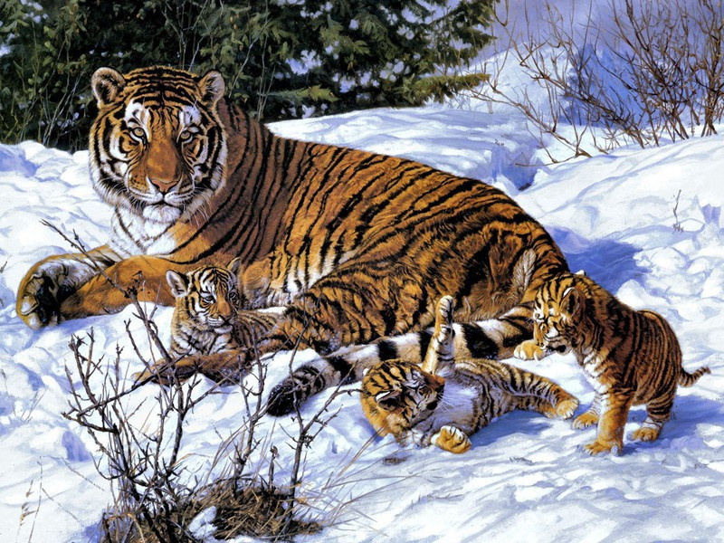 夏日登车盖亭十绝·其九原文注释译文赏析-蔡确诗词-宋诗全集