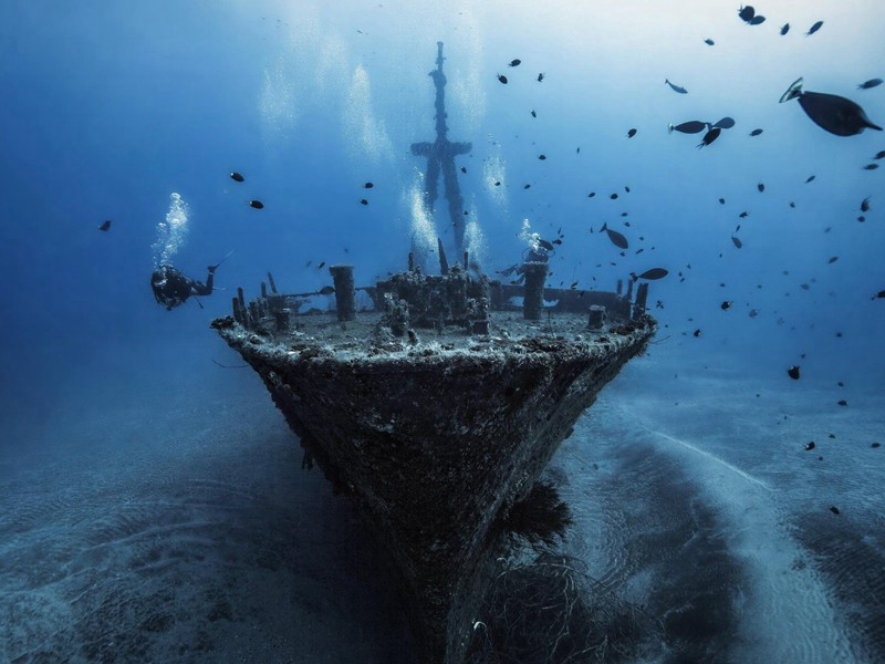 祫享庆成五言二十韵原文注释译文赏析-韩琦诗词-宋诗全集