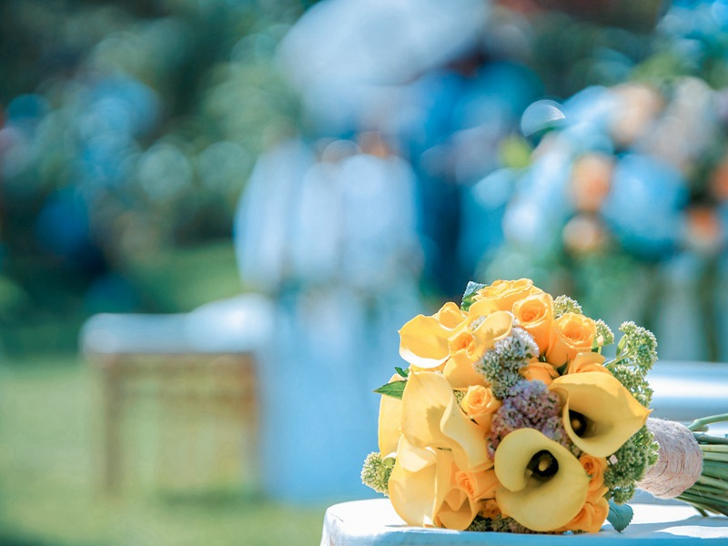 崇女撷菜煮羹原文注释译文赏析-程公许诗词-宋诗全集