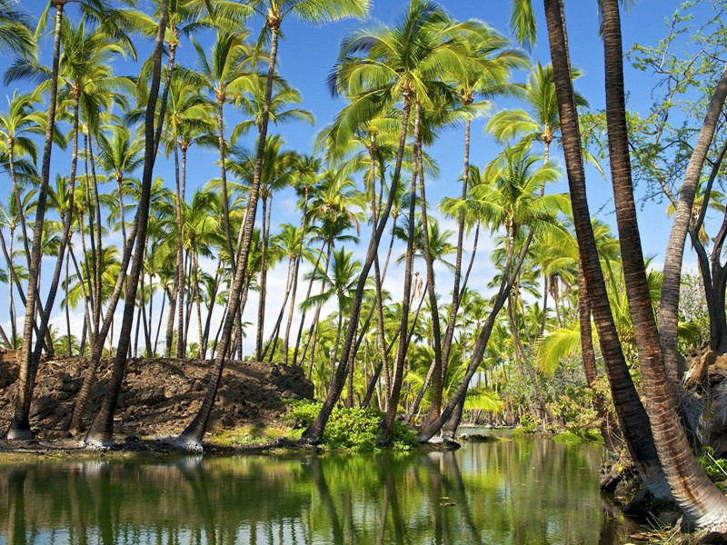 重到都门傚辘轳体原文注释译文赏析-柴望诗词-宋诗全集