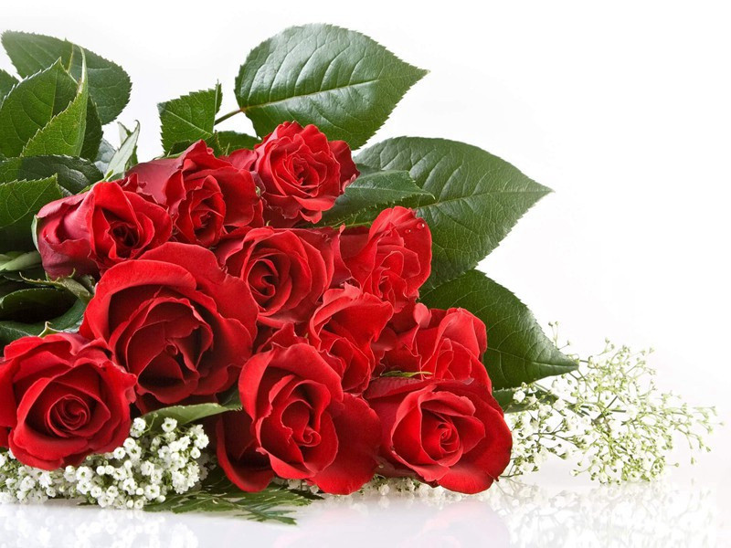 谢张文老饷酥原文注释译文赏析-晁公遡诗词-宋诗全集