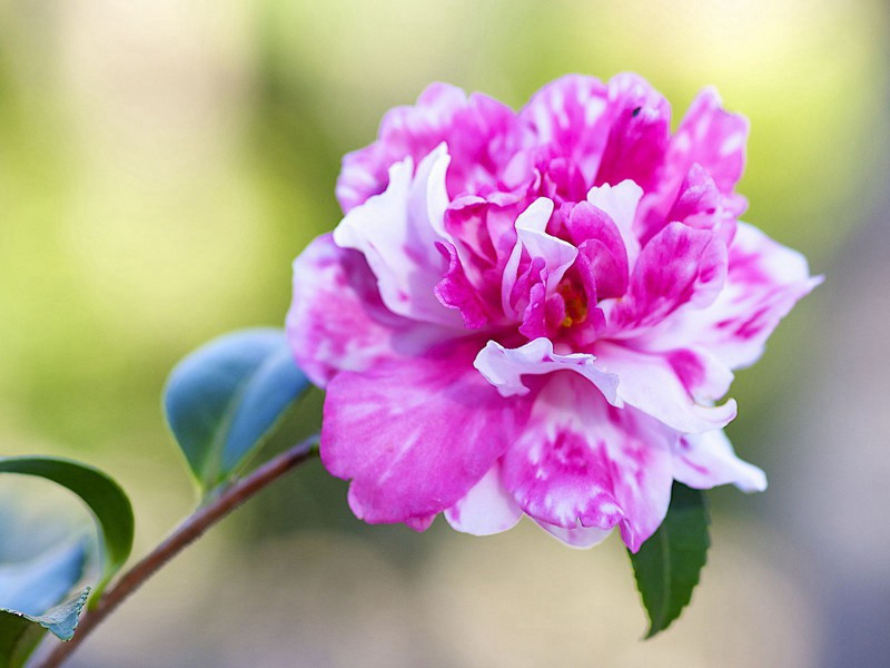 和双溪五首·其一原文注释译文赏析-曹勋诗词-宋诗全集