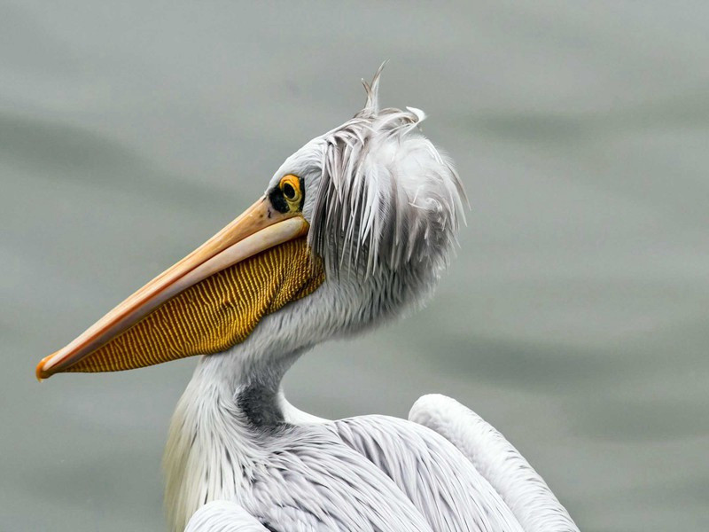 题三山天庆观·其三原文注释译文赏析-白玉蟾诗词-宋诗全集