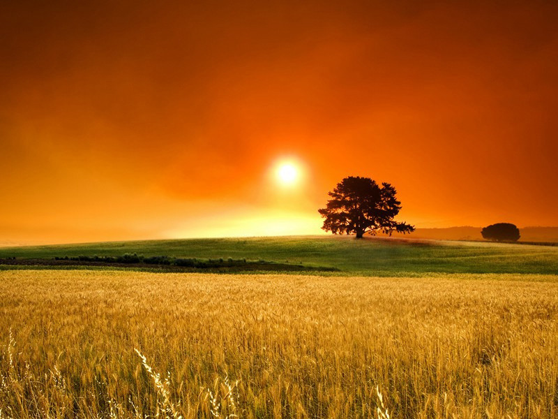 中秋月二首·其一原文注释译文赏析-韩琦诗词-宋诗全集