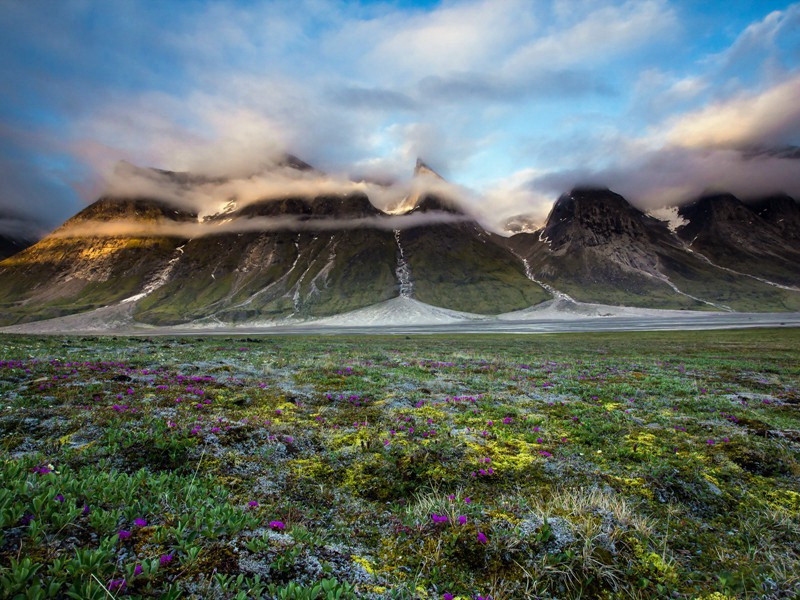 道出南浦见萧子庄十首·其三原文注释译文赏析-陈渊诗词-宋诗全集