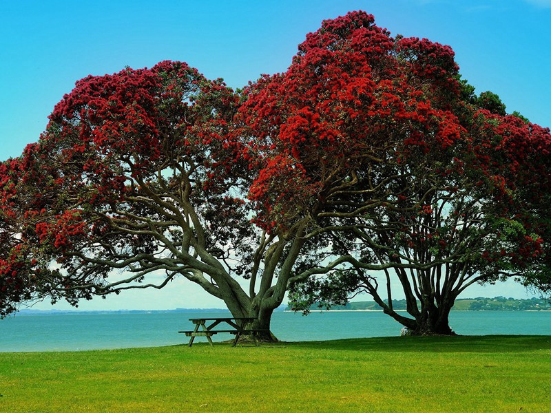 题锦浪亭原文注释译文赏析-曹叔远诗词-宋诗全集