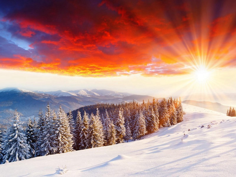 召伯停舟辟雨原文注释译文赏析-陈造诗词-宋诗全集