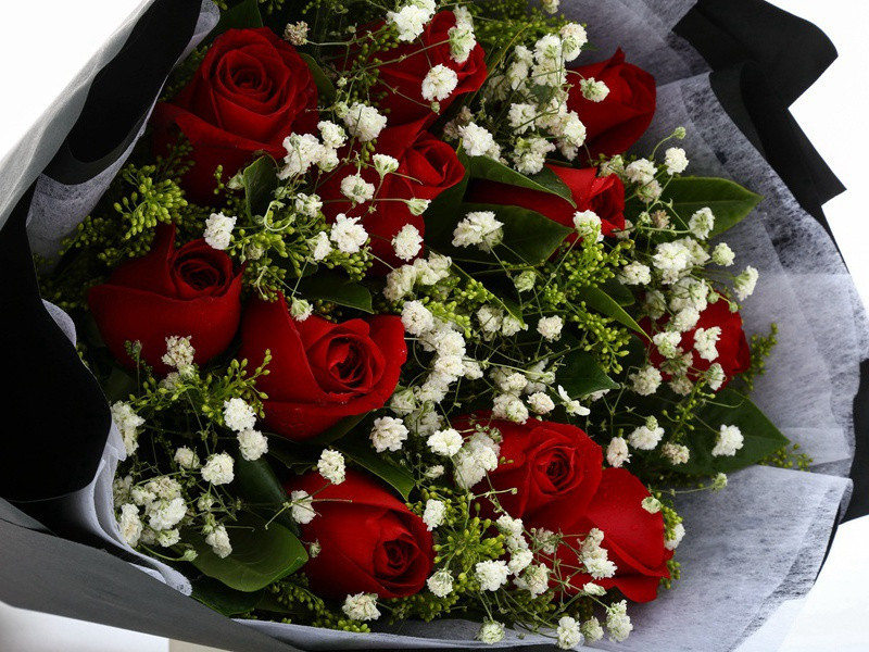 张丞再有诗次韵原文注释译文赏析-陈造诗词-宋诗全集