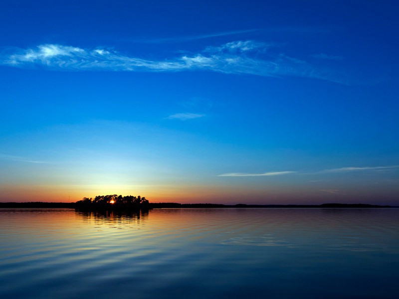 乡人为予再赏凤花求赋原文注释译文赏析-陈着诗词-宋诗全集