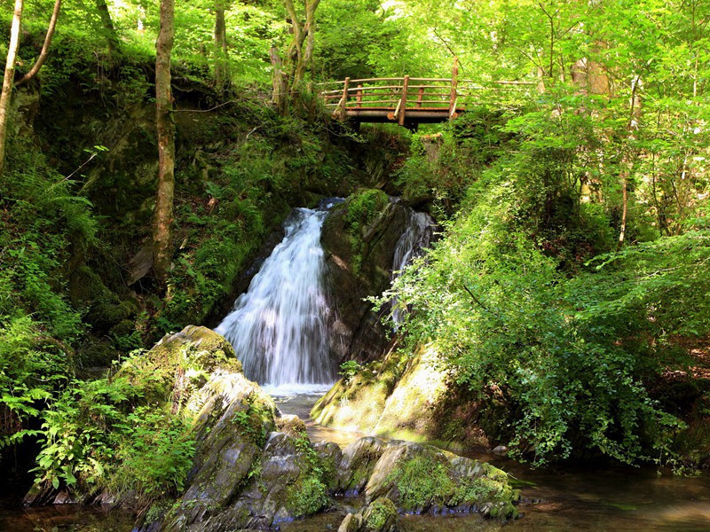 春日杂咏·其四原文注释译文赏析-李弥逊诗词-宋诗全集