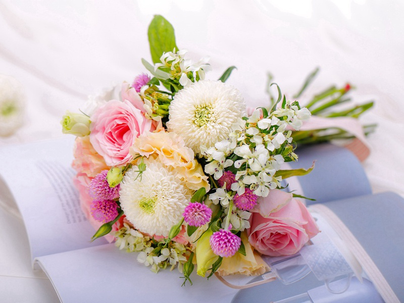 秋日书怀·其一原文注释译文赏析-白玉蟾诗词-宋诗全集