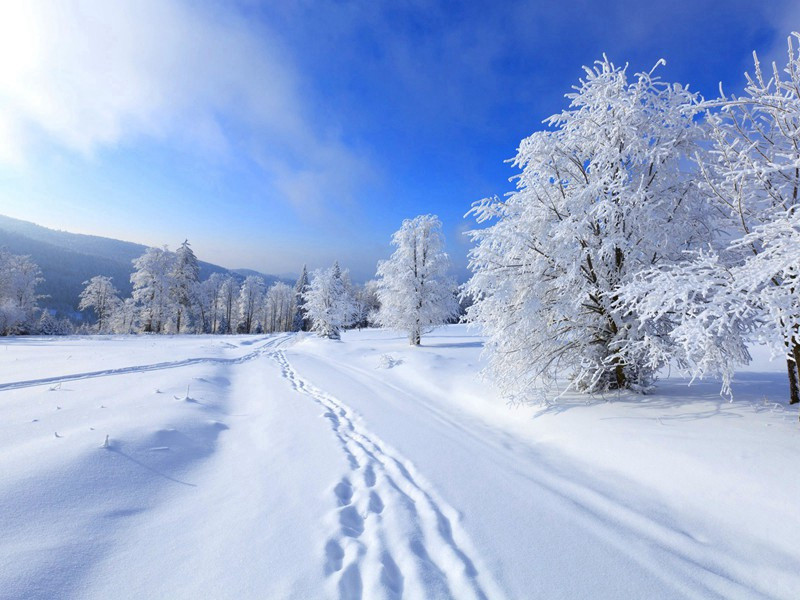 早起原文注释译文赏析-陈师道诗词-宋诗全集