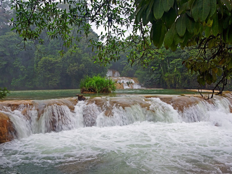 阅古堂八咏·芭蕉原文注释译文赏析-韩琦诗词-宋诗全集