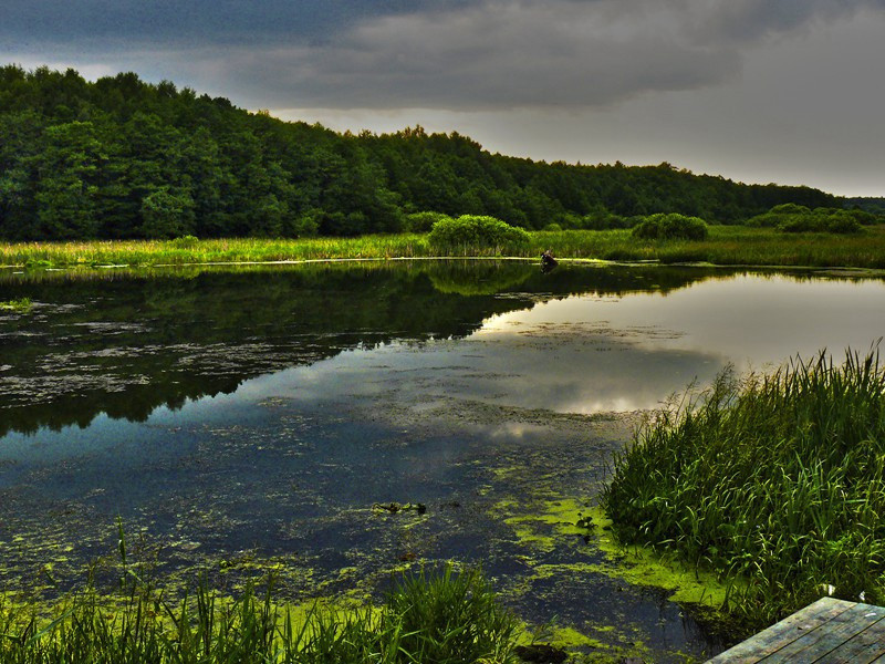 送咸宁陈令完夫移官吴郡原文注释译文赏析-贺铸诗词-宋诗全集