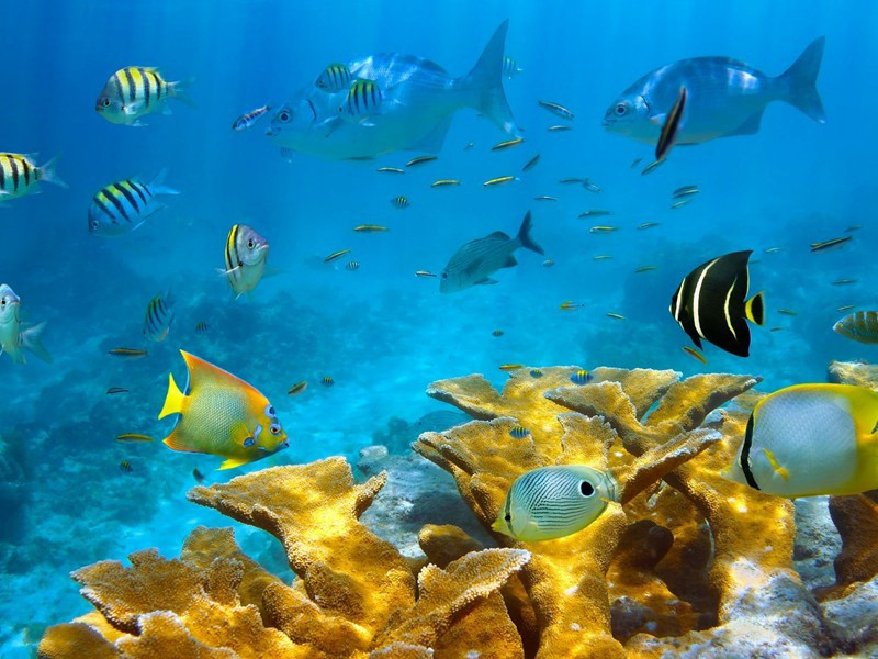 游九鲤湖原文注释译文赏析-蔡襄诗词-宋诗全集