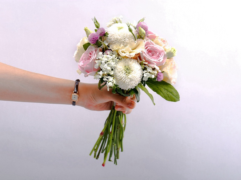 长平原文注释译文赏析-杜衍诗词-宋诗全集