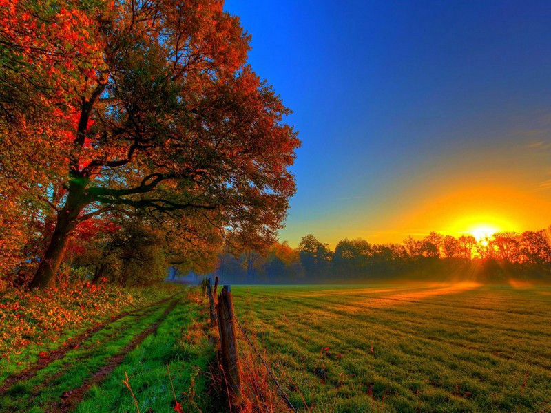 寄婺州石君瑞料院原文注释译文赏析-陈着诗词-宋诗全集