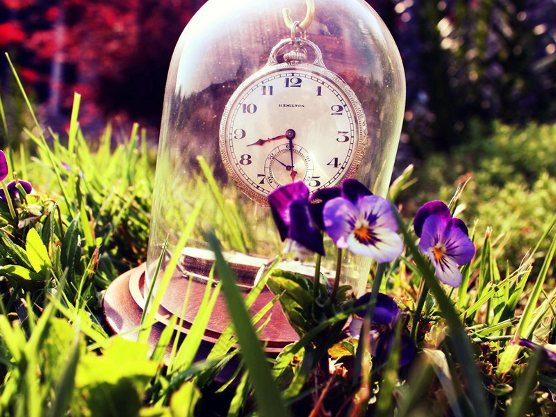 辟谷原文注释译文赏析-晁说之诗词-宋诗全集