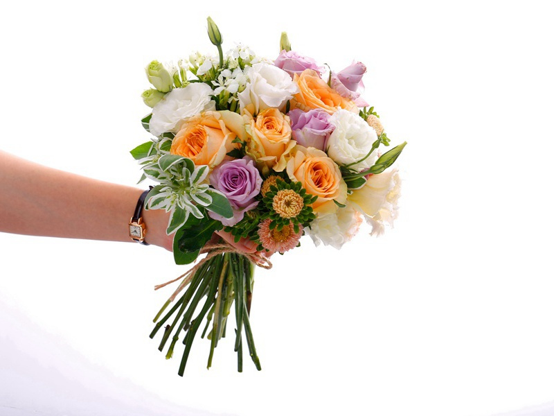 呈汪主簿及茗源诸公原文注释译文赏析-陈普诗词-宋诗全集