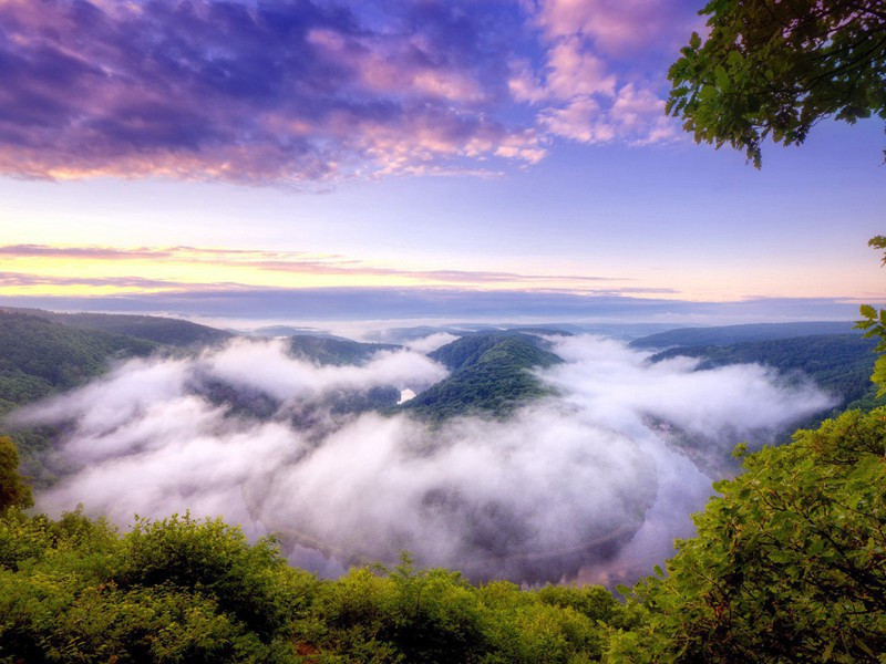 州宅堂前荷花原文注释译文赏析-范成大诗词-宋诗全集