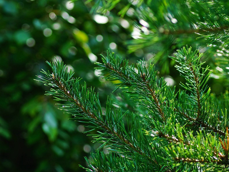 送管宪出城原文注释译文赏析-曾丰诗词-宋诗全集