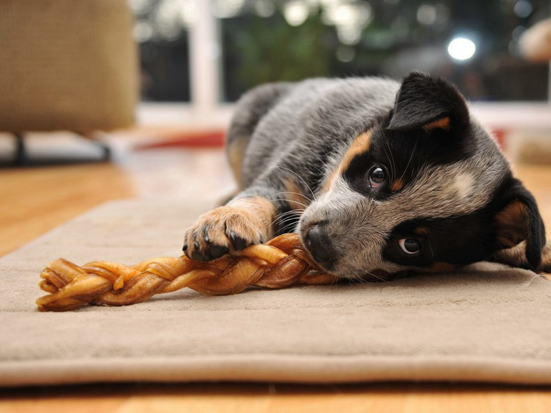 山居杂诗九十首·其二五原文注释译文赏析-曹勋诗词-宋诗全集