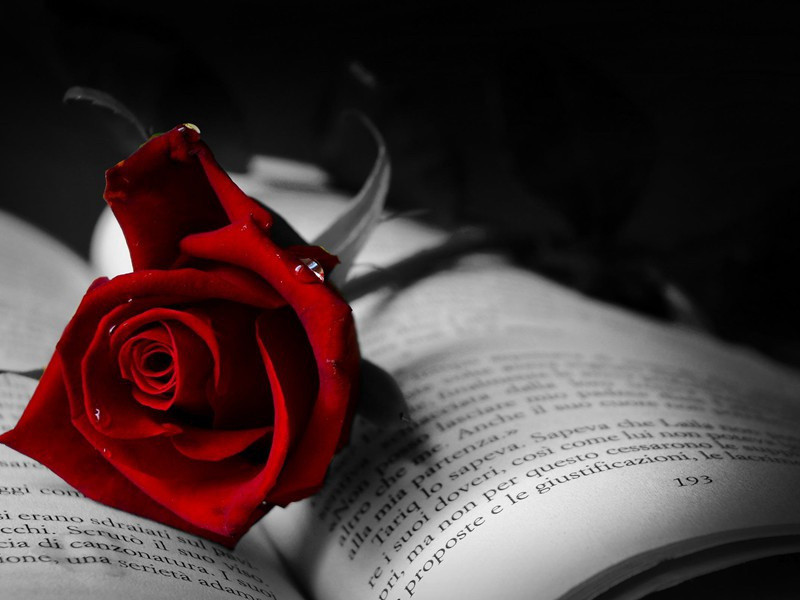 二十八舍歌示钱定国显道原文注释译文赏析-程俱诗词-宋诗全集