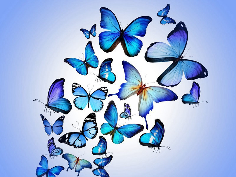 重登萧相楼原文注释译文赏析-曾会诗词-宋诗全集