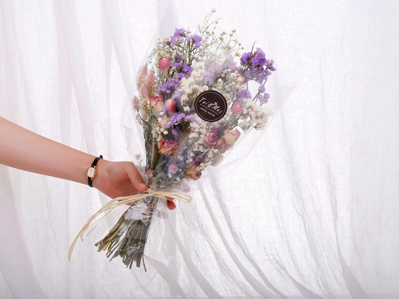 再和原文注释译文赏析-晁说之诗词-宋诗全集