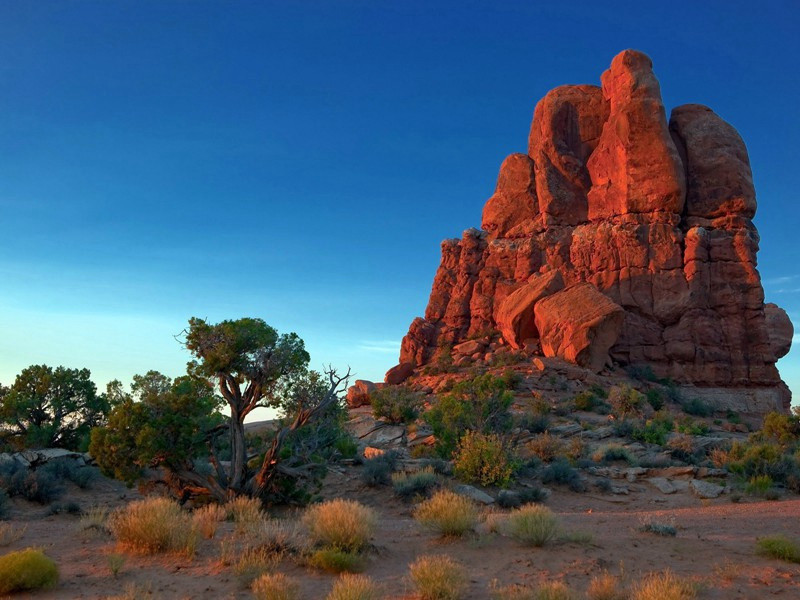 送荔子与高观察原文注释译文赏析-曹勋诗词-宋诗全集