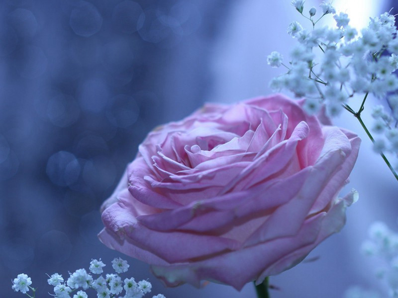 再次韵赵帅见寄三首·其三原文注释译文赏析-陈造诗词-宋诗全集