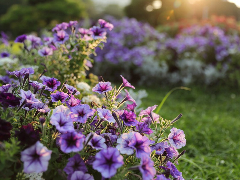 留题相州王珫推官园亭原文注释译文赏析-韩琦诗词-宋诗全集