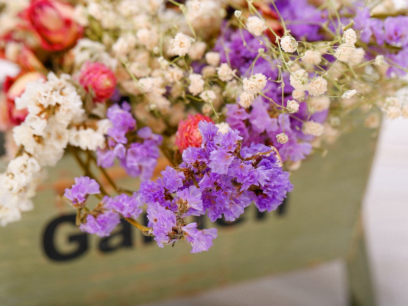 和李光化秋咏四首·晚原文注释译文赏析-范仲淹诗词-宋诗全集