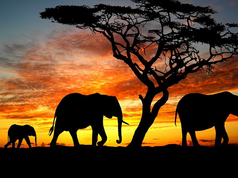 程言聚散有感次前韵·其二原文注释译文赏析-陈造诗词-宋诗全集