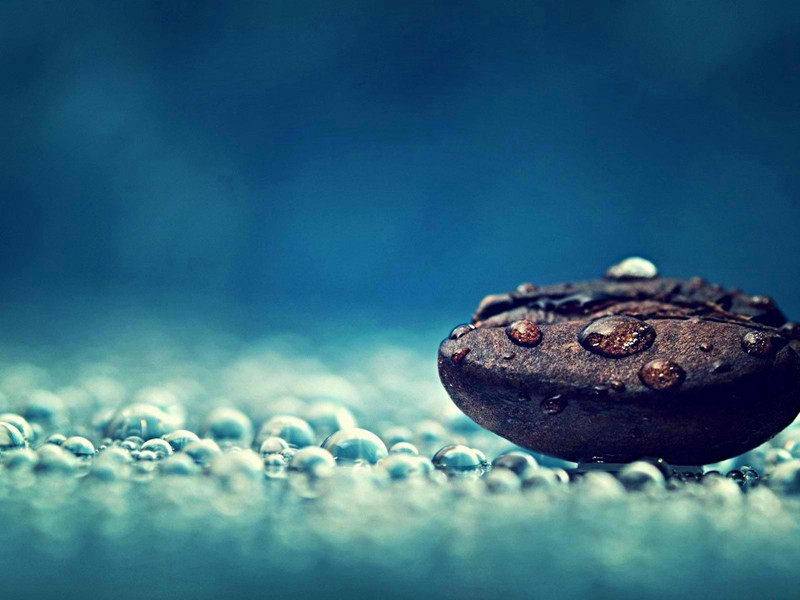 何季皋司理故人也作诗见相勉意二首·其一原文注释译文赏析-戴复古诗词-宋诗全集