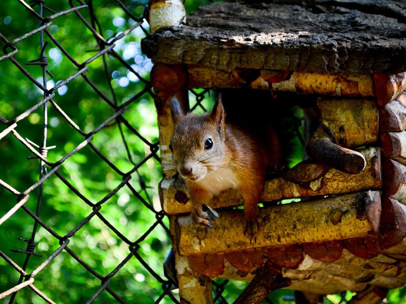 自乐·其二原文注释译文赏析-晁说之诗词-宋诗全集