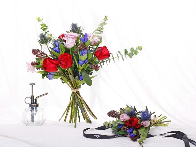 旅舍写怀原文注释译文赏析-程俱诗词-宋诗全集