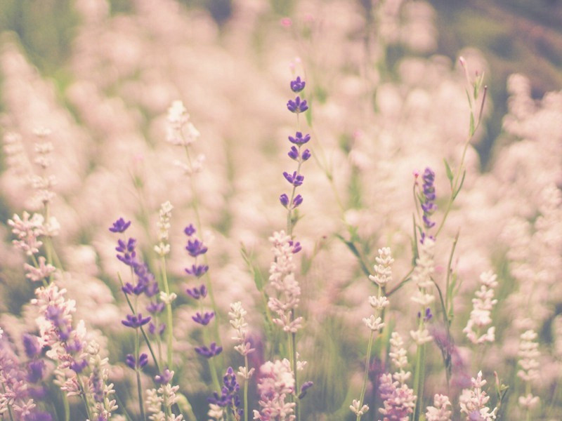 辞贾徽州原文注释译文赏析-曹勋诗词-宋诗全集