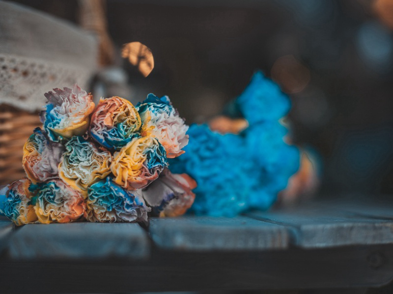 过樊村原文注释译文赏析-陈造诗词-宋诗全集