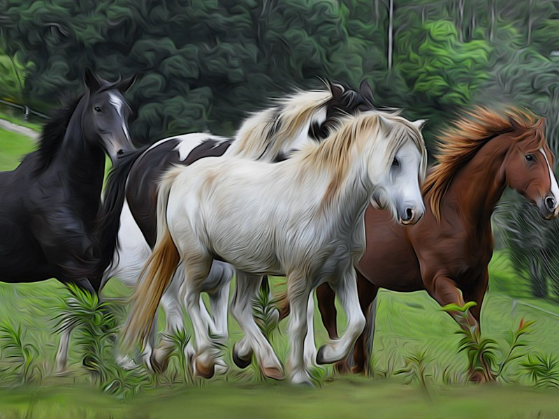 挽孙少卿四首·其三原文注释译文赏析-陈淳诗词-宋诗全集