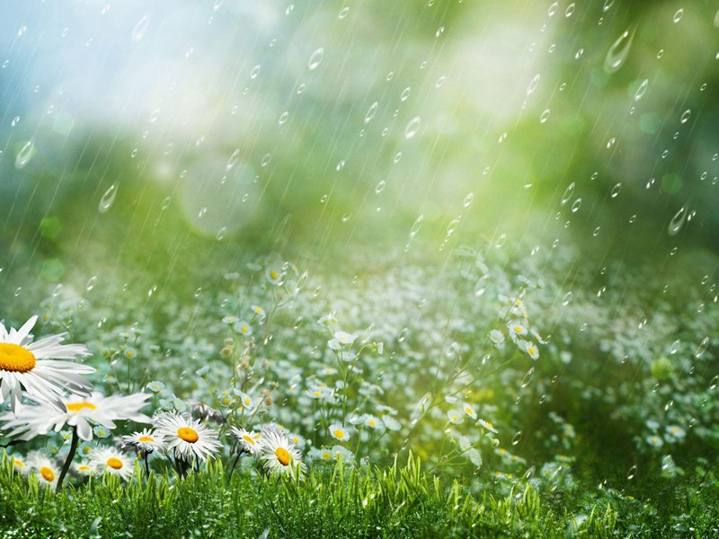 和子静三绝·渔父一首原文注释译文赏析-陈渊诗词-宋诗全集