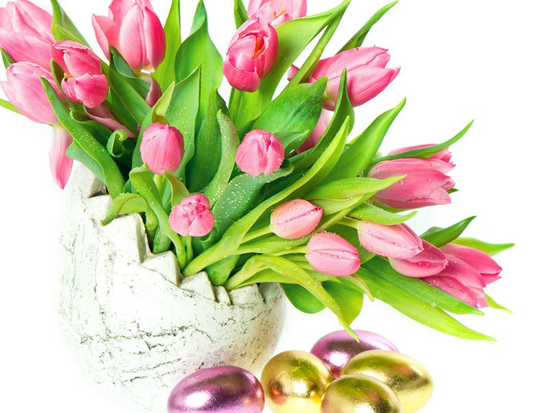 和守斋户部家居书怀原文注释译文赏析-陈鉴之诗词-宋诗全集