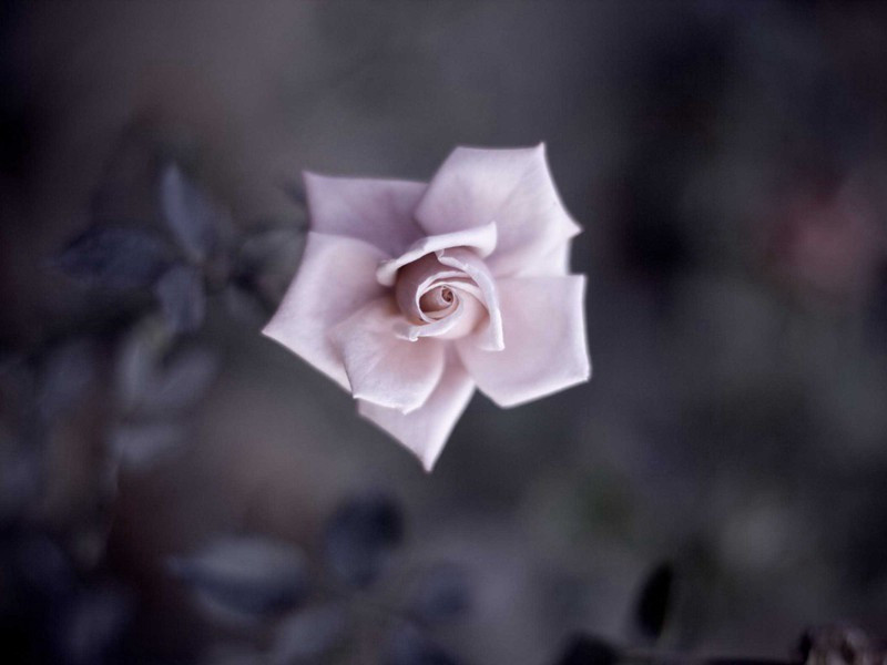 题扇七首·其三原文注释译文赏析-陈造诗词-宋诗全集